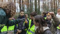 Sortie pédagogique avec l'ONF._Vaujany