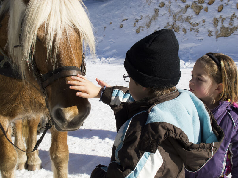 Enfants et cheval - station 01
