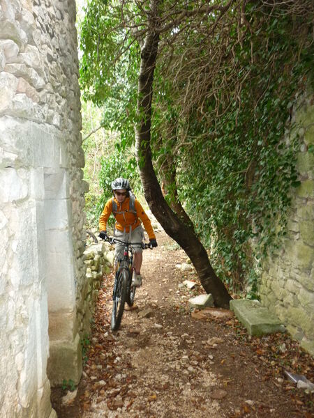 CG Vaucluse
