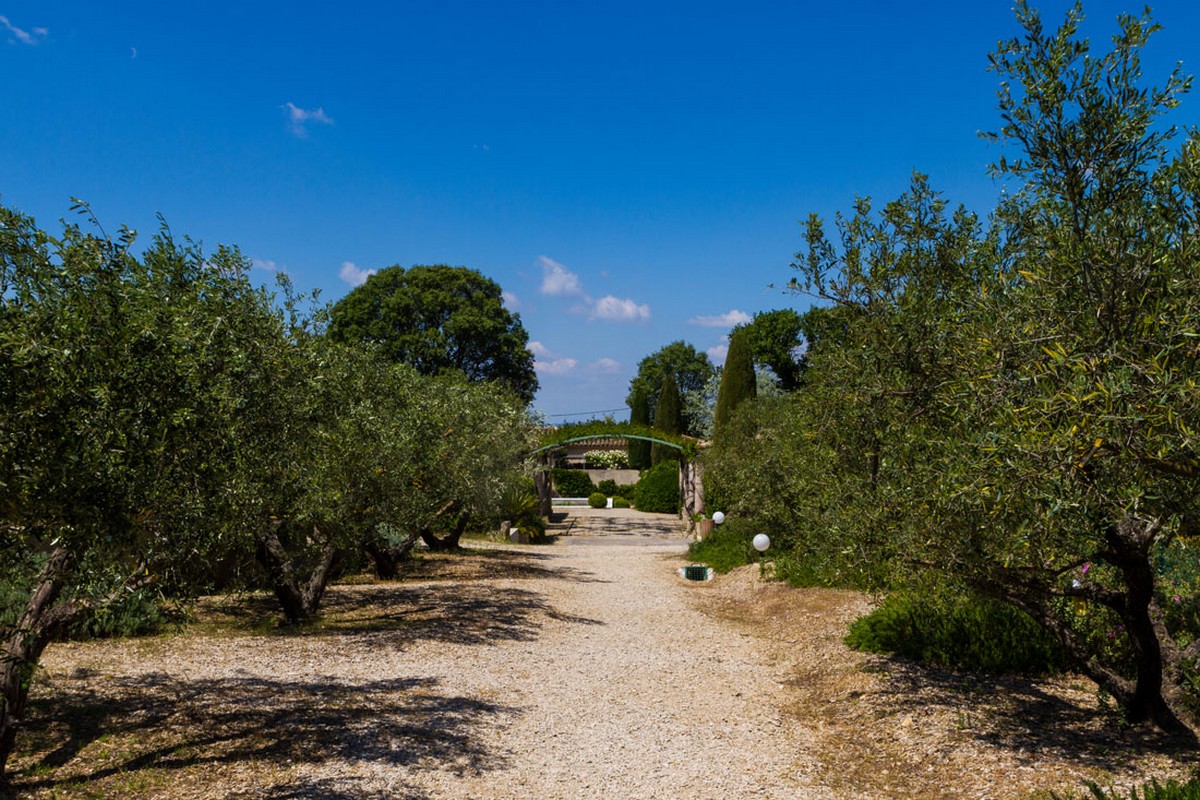 Un Mazet en Provence - photo 2