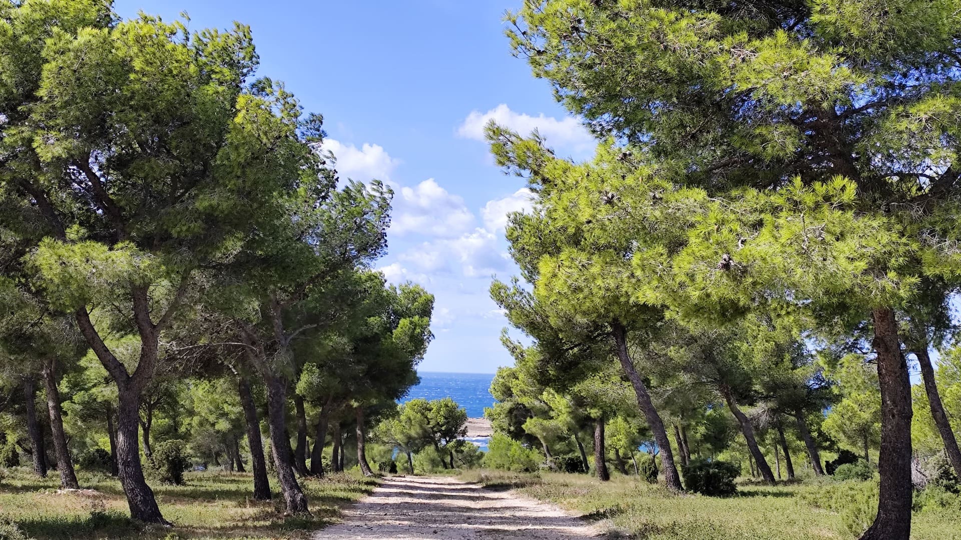 Histoire et paysages : exploration des vestiges militaires de Martigues
