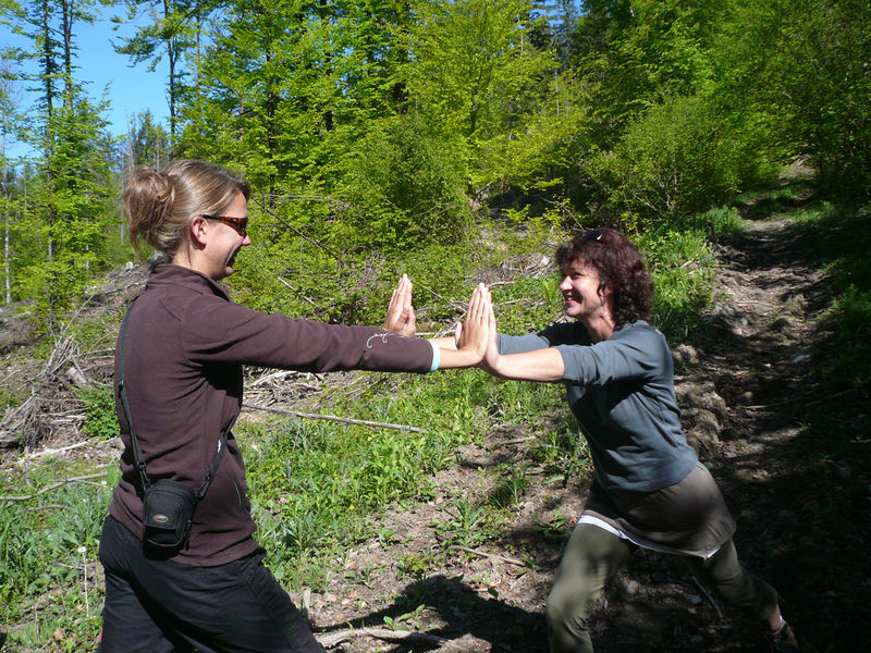 Activité en pratique