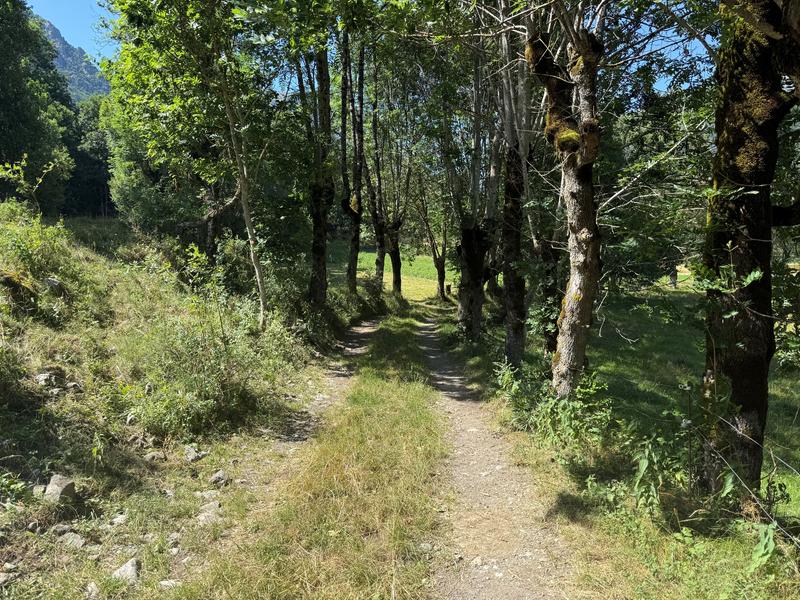 Rando-poussette des Mazoirs_Alpe Du Grand Serre