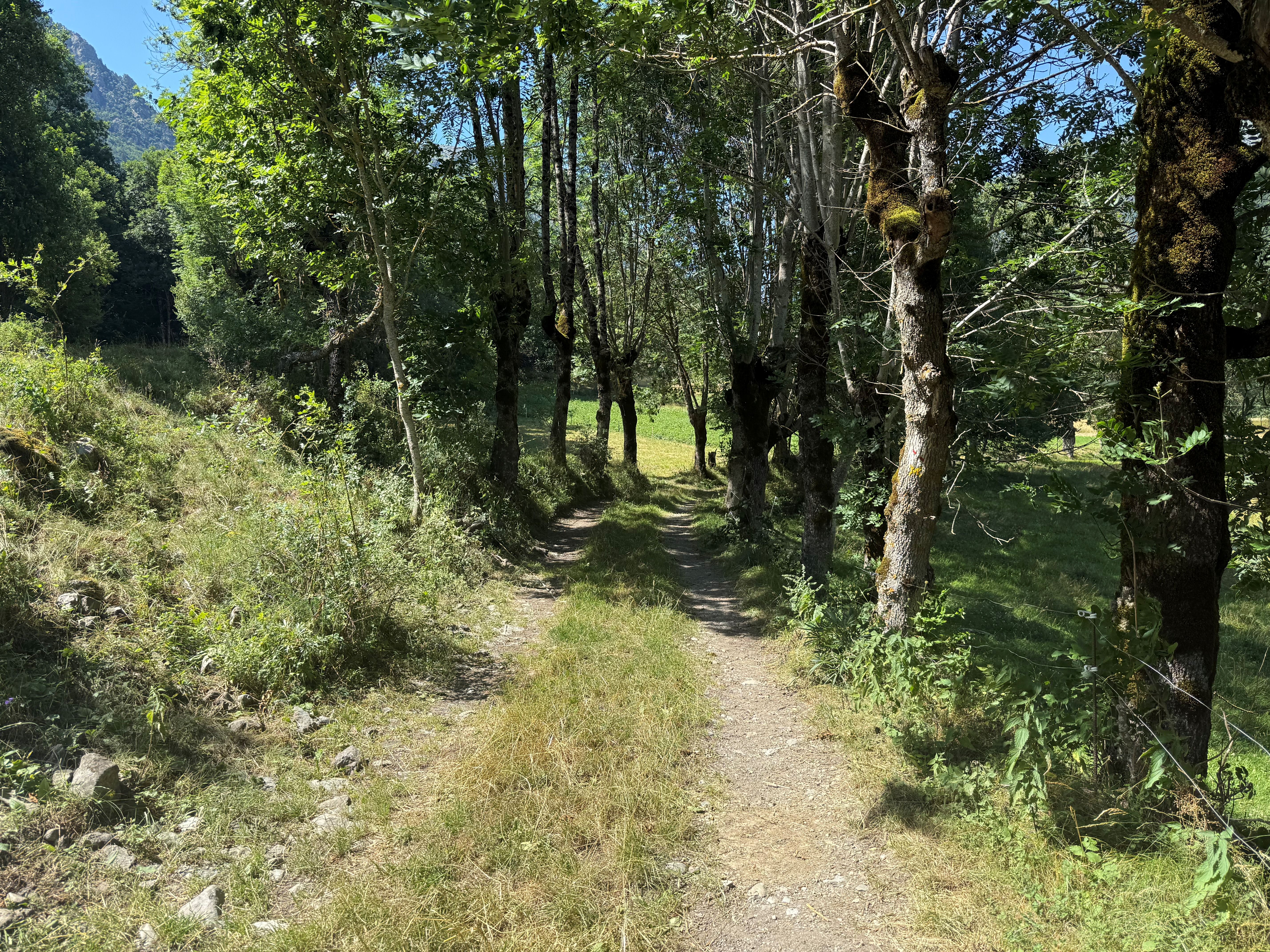 Mazoirs Pram-walk