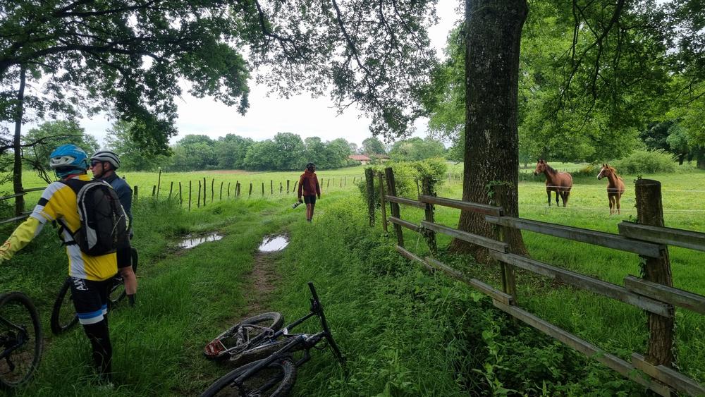 Circuit VTT n°23 (noir) La Grande Sarrasine Tour_Saint-Trivier-de-Courtes