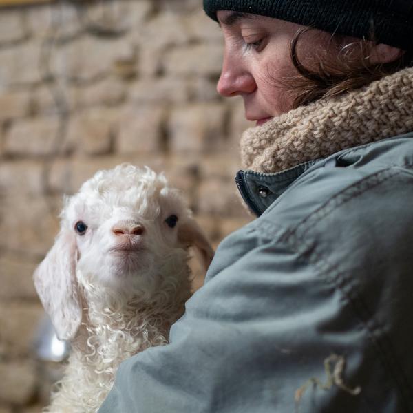 bébé angora