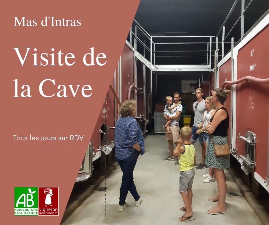 Mas d'Intras - Visite de la cave