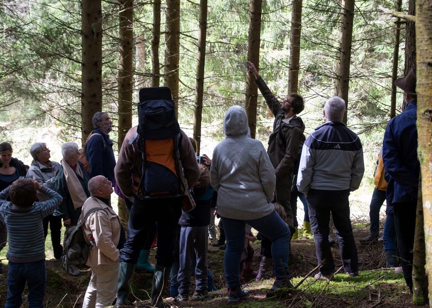 Les forêts du Fossat