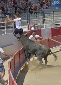 Les Arènes Municipales