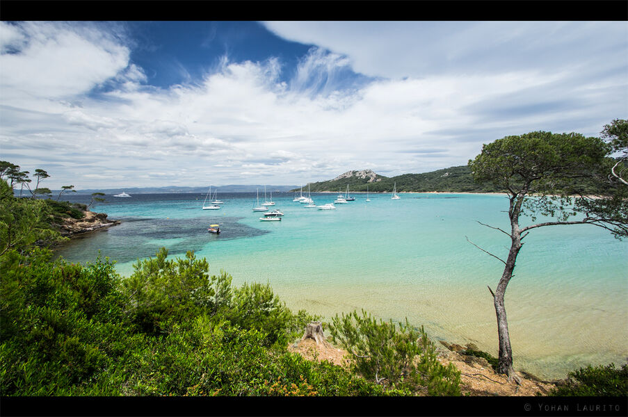 La plage Notre Dame - ile de porquerolles - hyeres