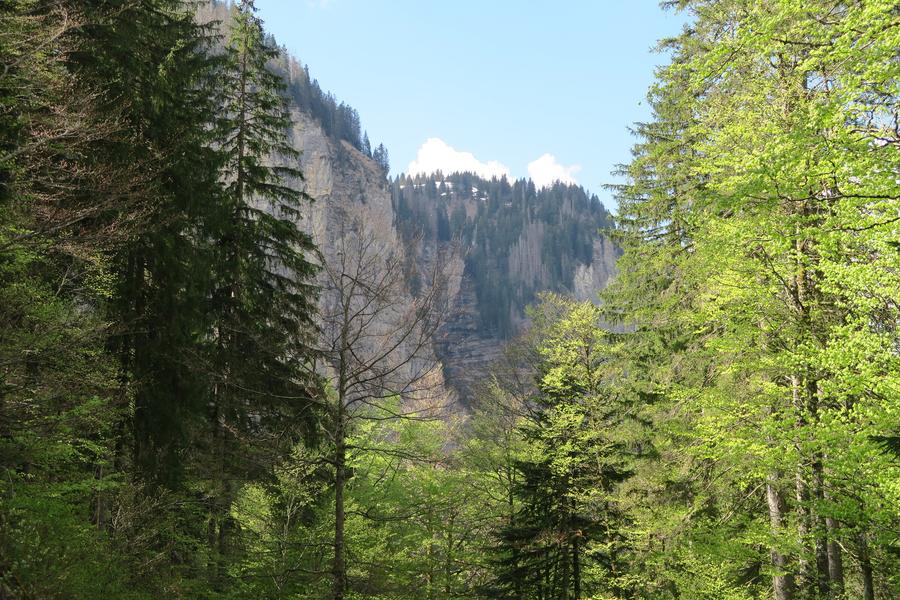 Itinéraire pédestre : du Lac de Montriond à la Cascade d’Ardent_Montriond