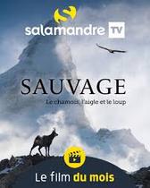 Projection du film Sauvage_Arcon
