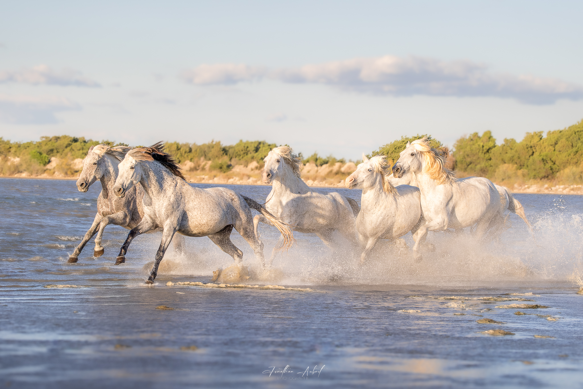 Jonathan Aubert Photographe