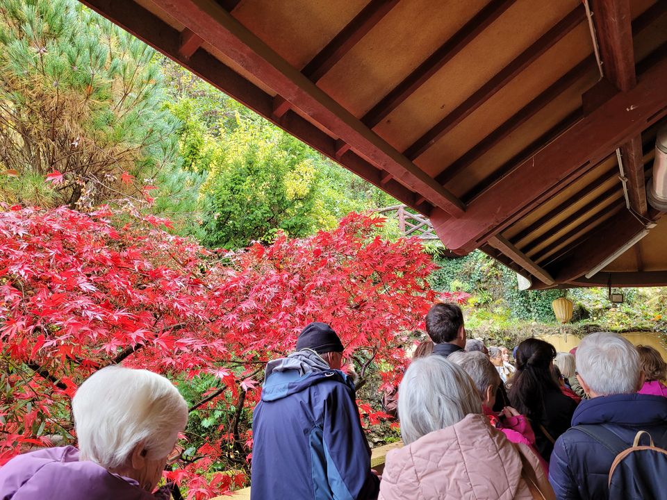 Visite Pagode Truc Lam Villebon-sur-Yvette