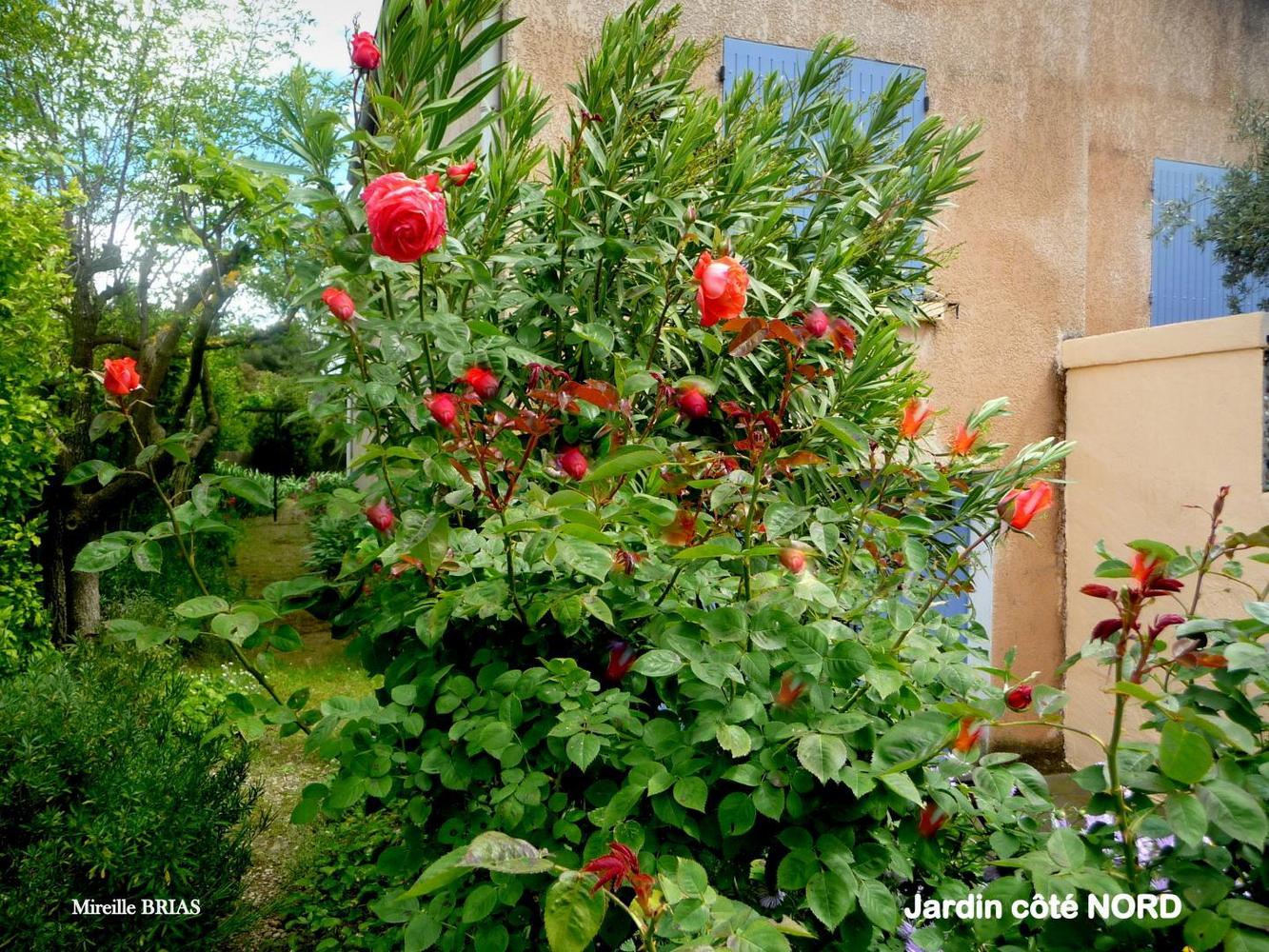L'Olivade, Eyragues - photo 50