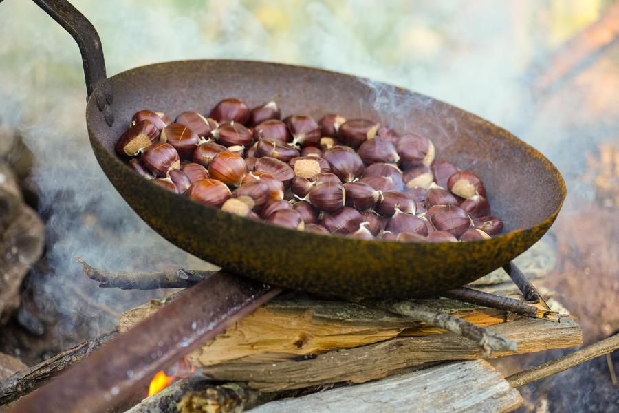 Châtaigneraie Godissard_Collobrières