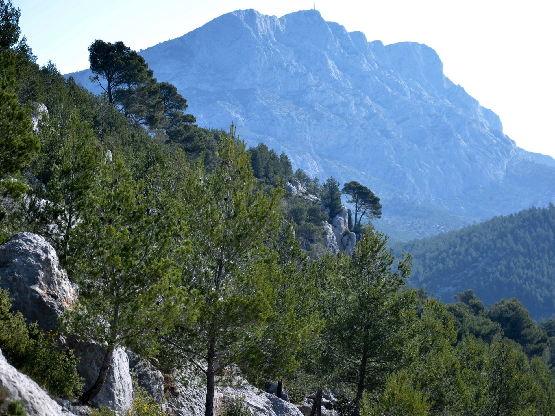 Tours in Provence — photo 2