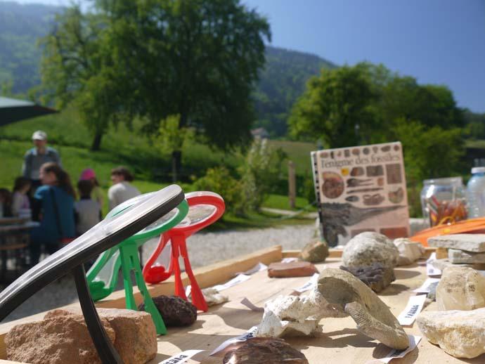 Anniversaire nature : Atelier du géologue_Présilly