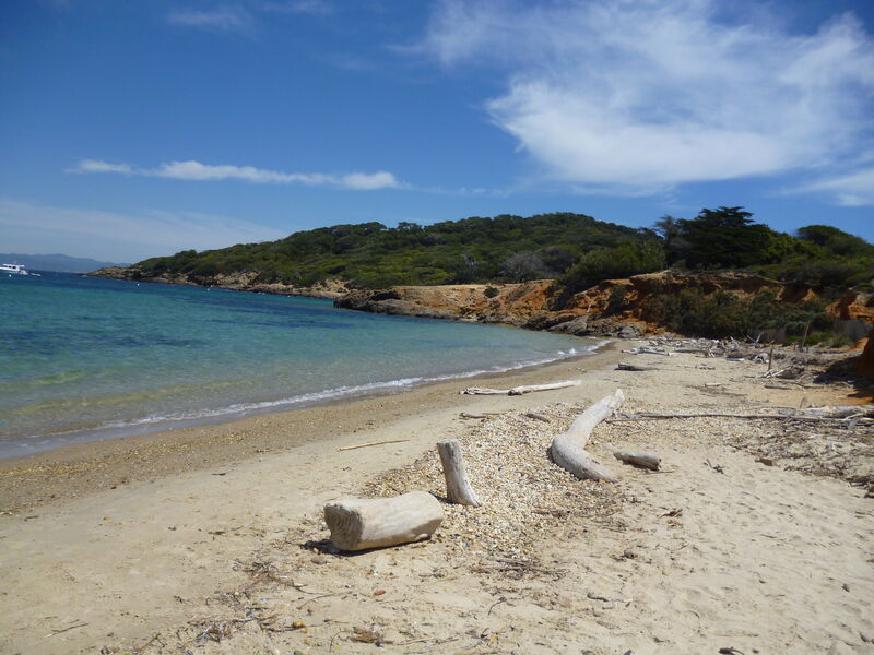La plage du Langoustier à Porquerolles