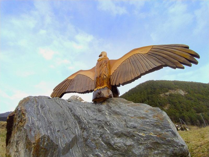 Vautour les ailes déployées, sur un rocher