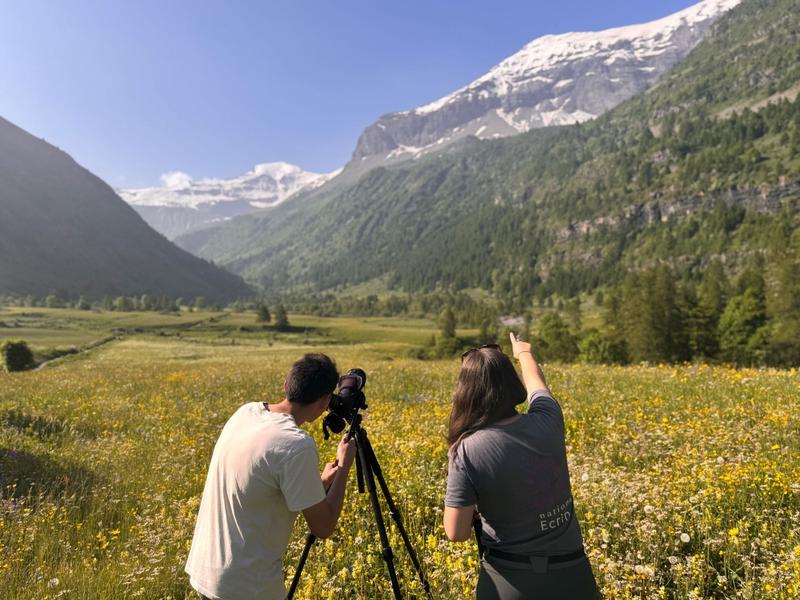 - © Lauryne Tur, Parc national des Ecrins. IMG_6885 - © Lauryne Tur, Parc national des Ecrins.