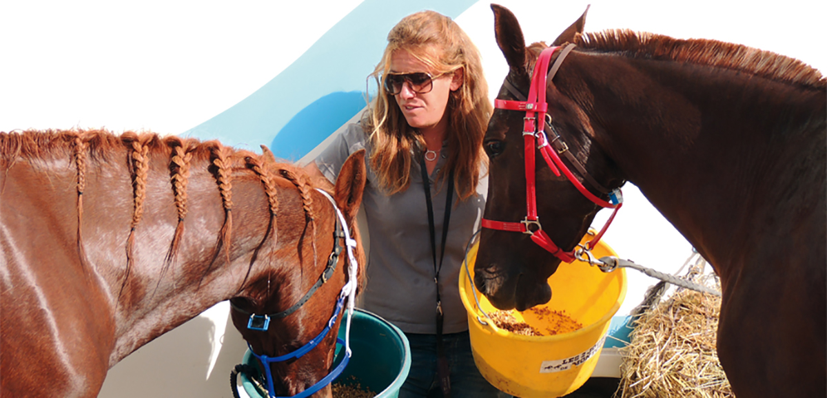 Les Ecuries de Cadillan