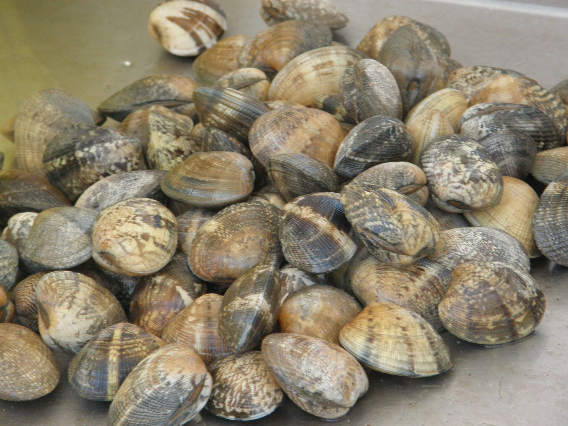 Marché aux poissons de Carro - photo 3