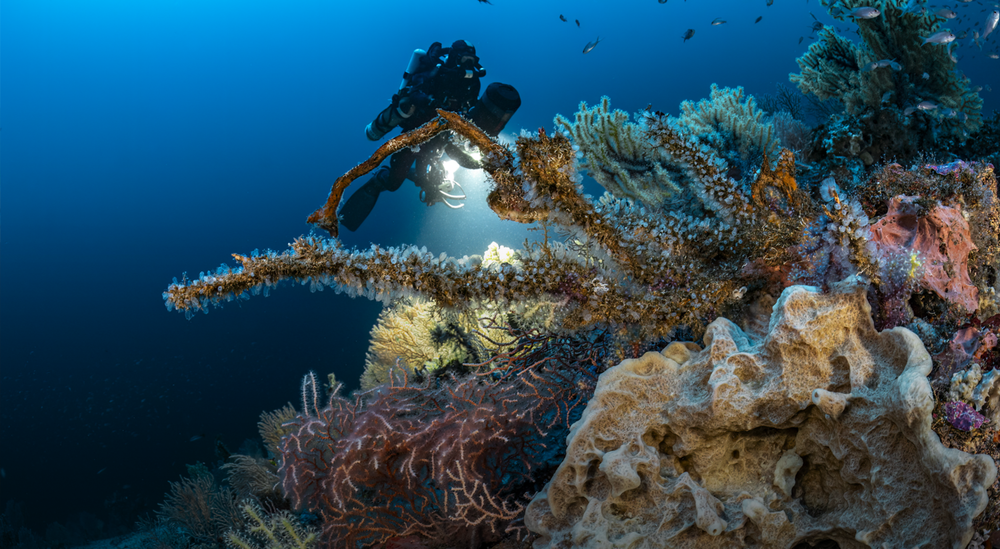 Le mystère des anneaux_Lyon 2ème