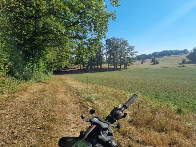 Les grandes terres de Marboz