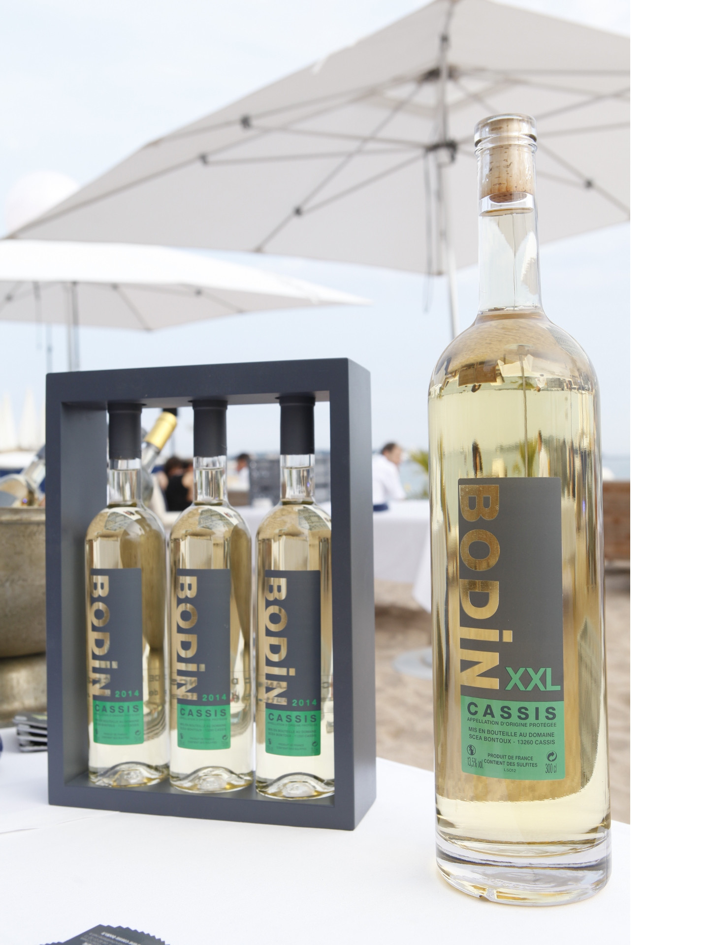 Domaine Cassis Bodin - photo 5