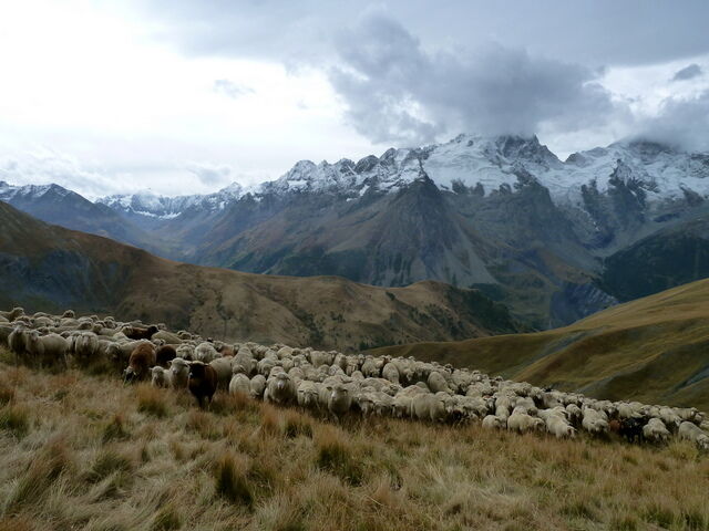 Natura 2000 - Haute Romanche - La Grave