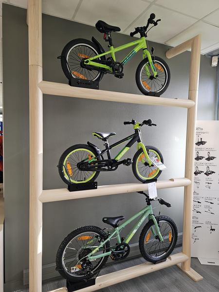 Trois vélos enfants exposés en magasin.