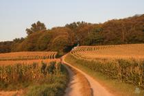 img_5230_vienne_2024_-_light.jpg
