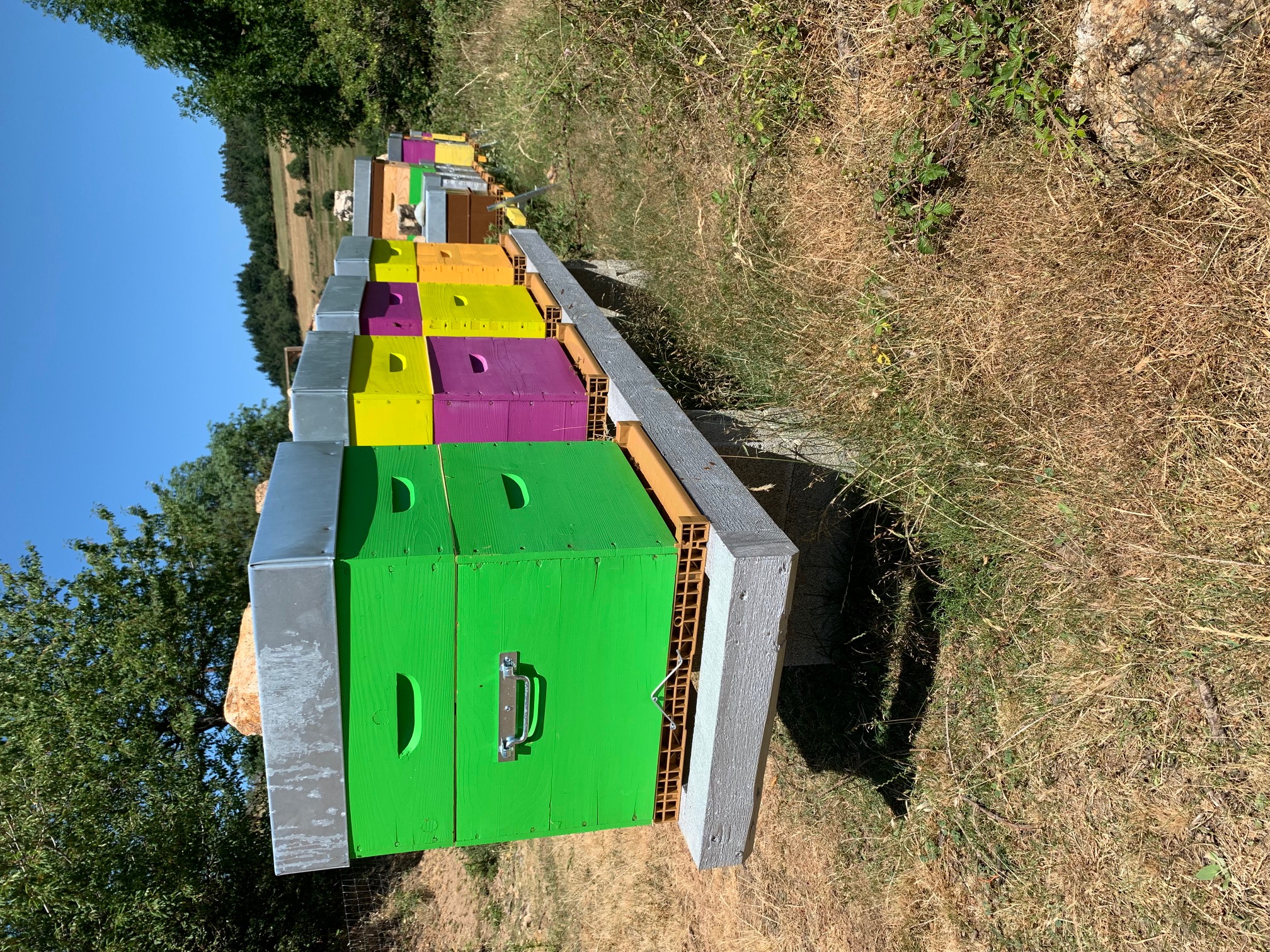 Ruches colorées
