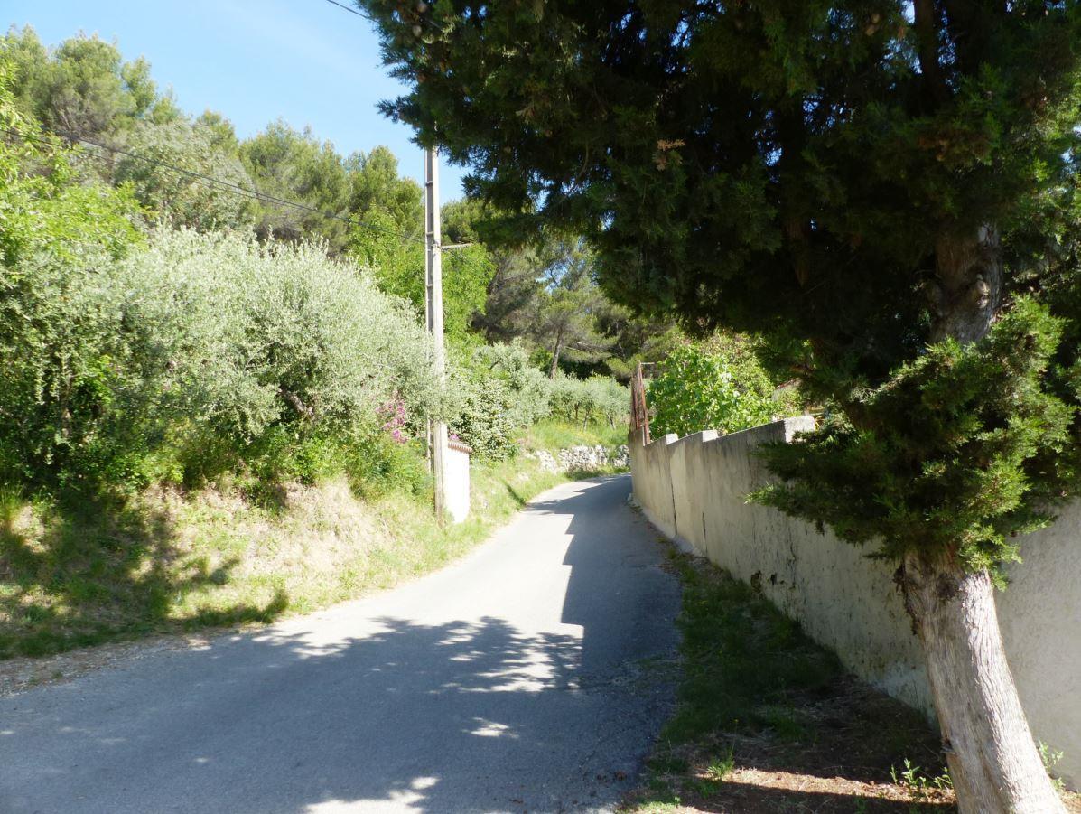 Tournesol, Cadolive - photo 34