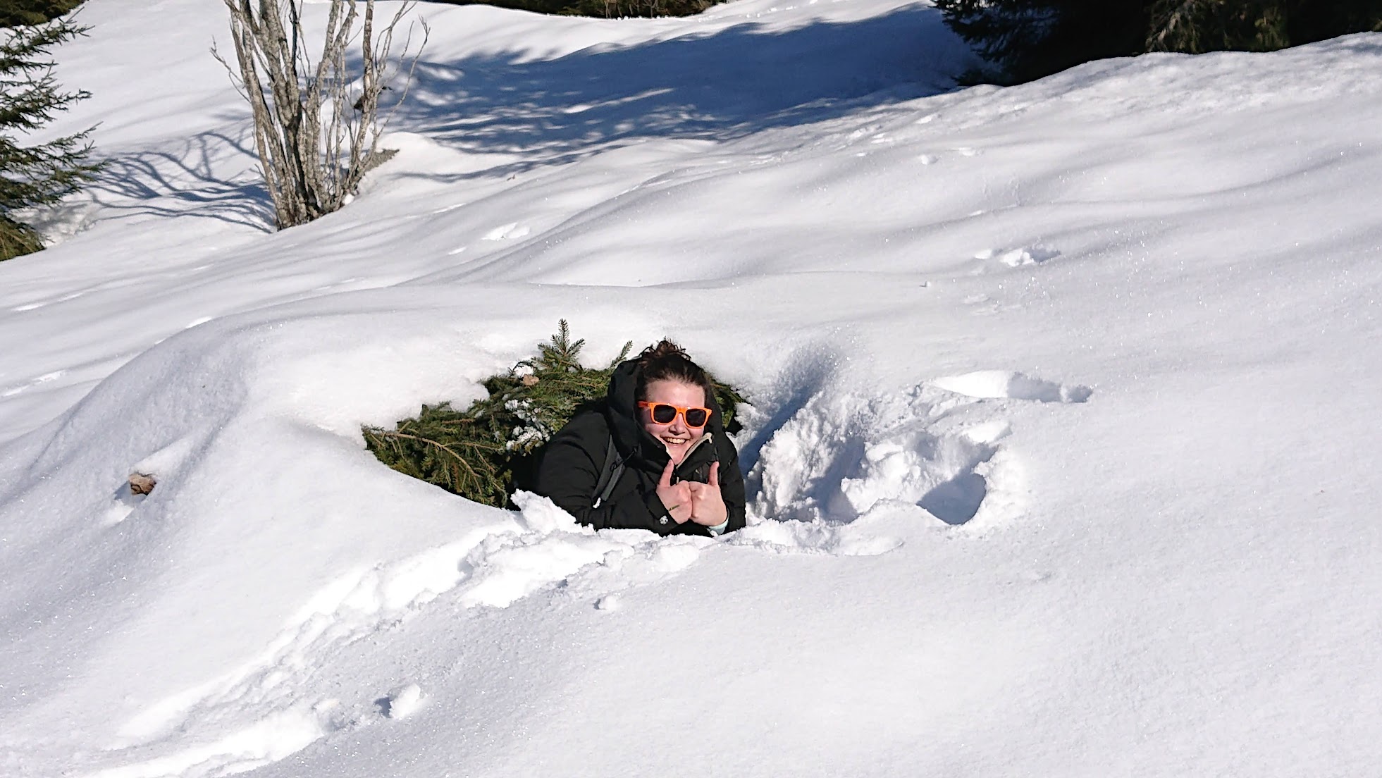 Snowshoe hike - L'Ecole du petit Montagnard