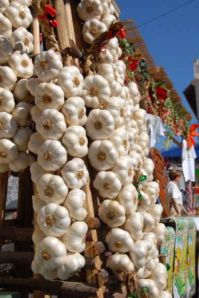 Fête de l'ail blanc