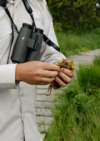 Les fleurs de nos montagnes, randonnée accompagnée