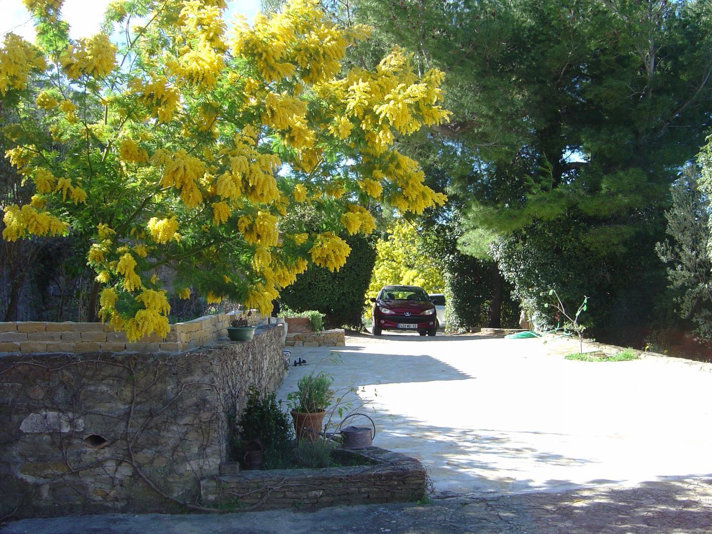 Les Cigales, Ceyreste - photo 24