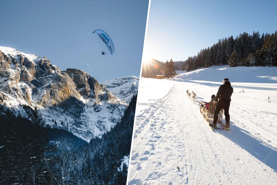 Parapente & Chiens de traîneau/Cani-Kart_Champéry