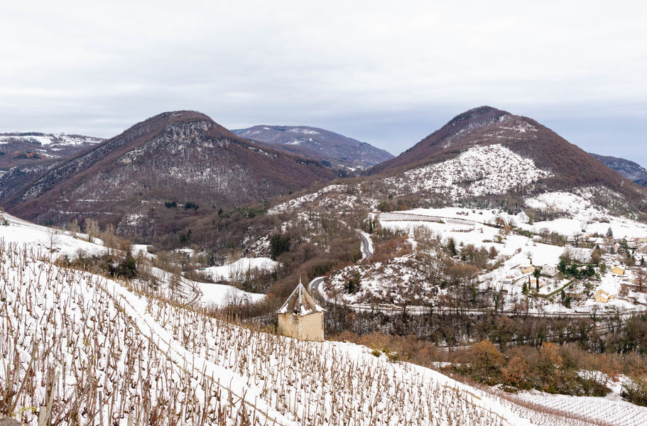 Vignes Seillonnaz neige hiver
