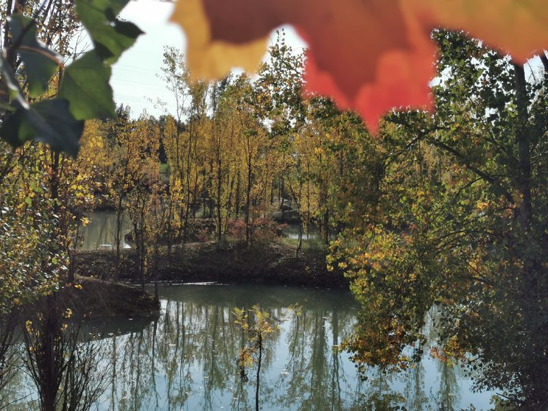 Le Parc de la Lère - Lacs