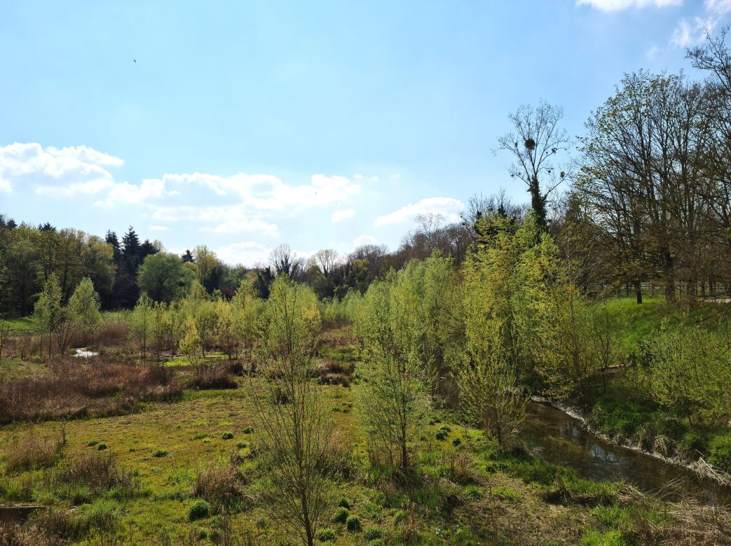 Parc de Vilgu00e9nis_Massy