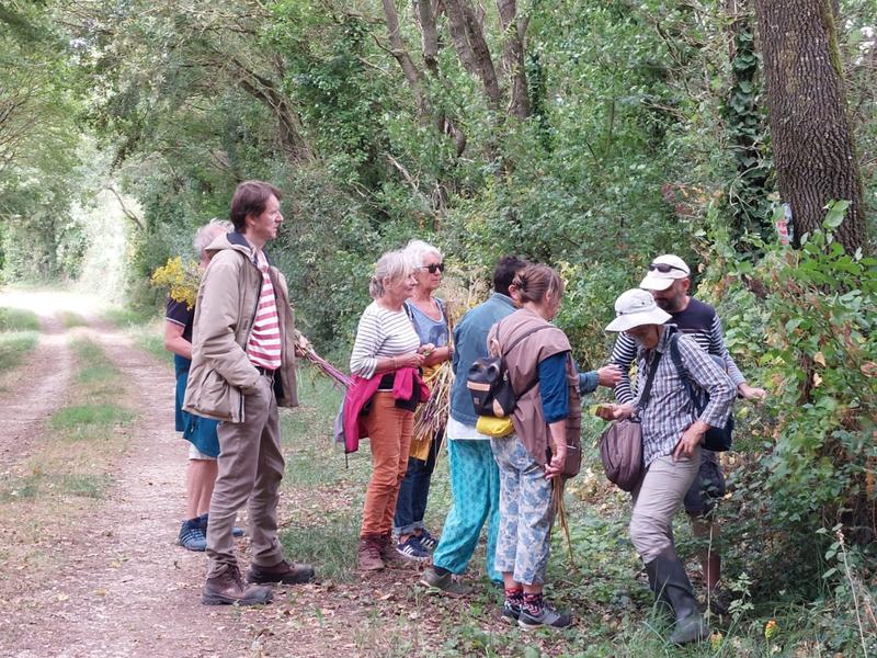 Des personnes observe la nature sur un chemin boisé