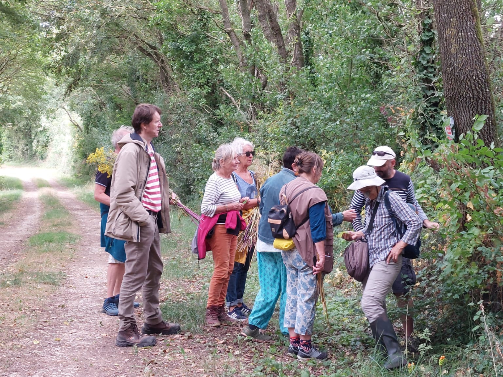 Découverte des plantes sauvages comestibles avec Anne Richard
