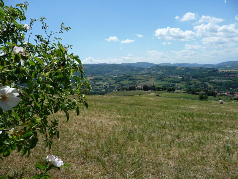 Panorama depuis la chapelle