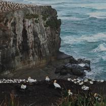 Document Terre - Nouvelle Zélande_Saint-Genest-Malifaux