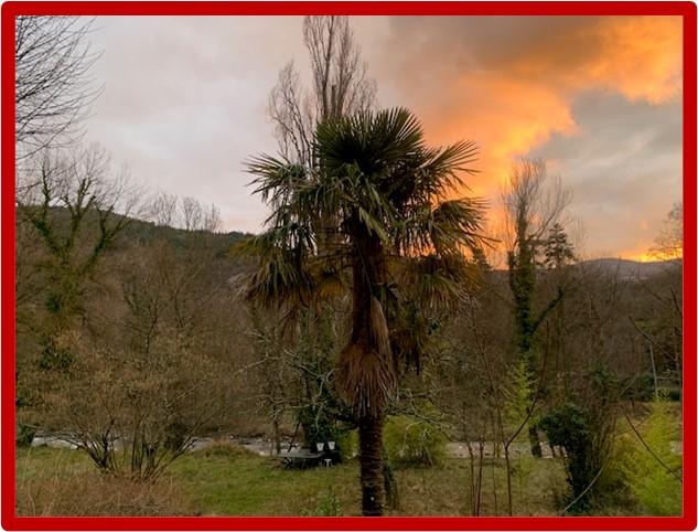 Le jardin du petit Nid