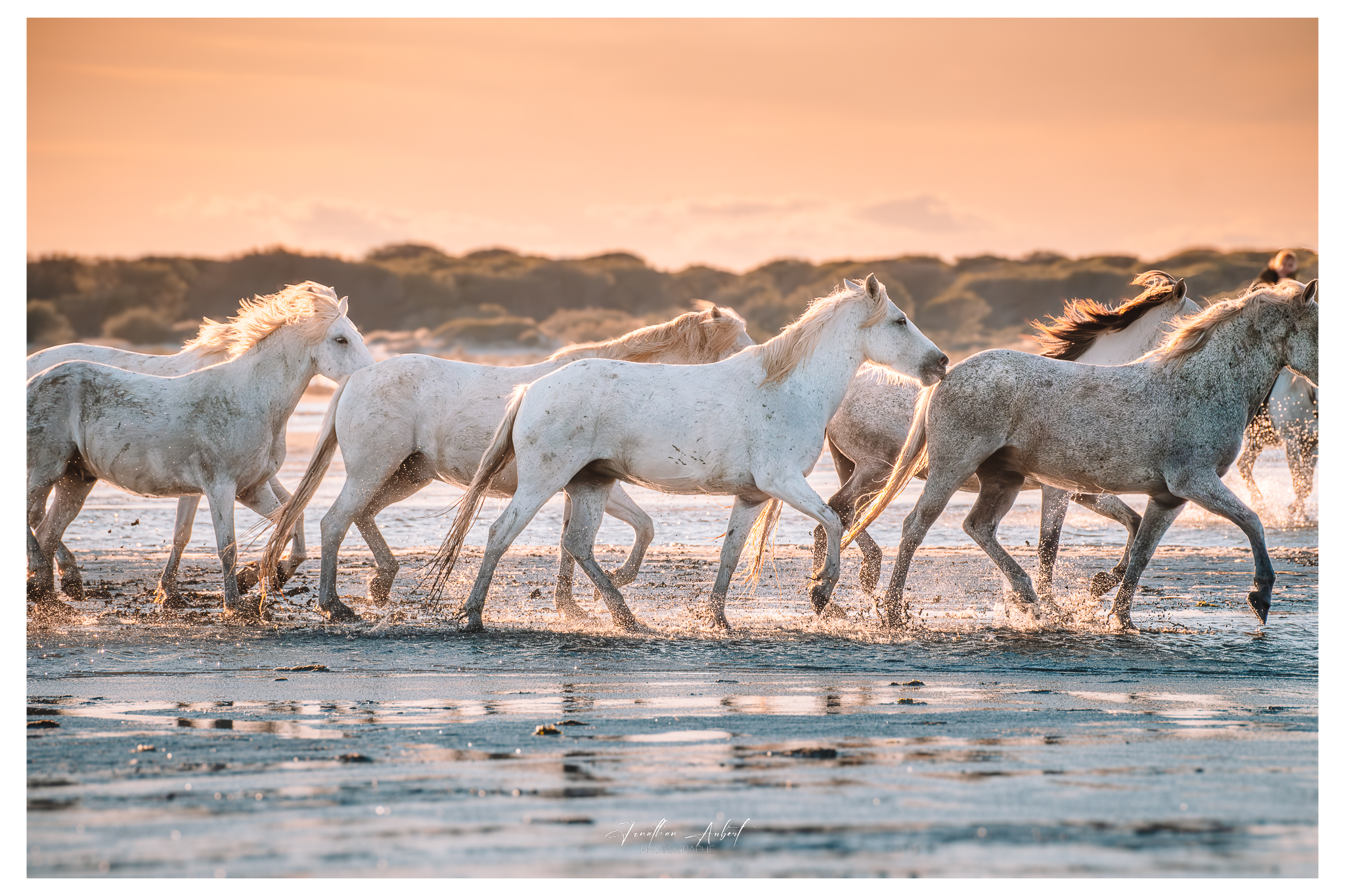 Jonathan Aubert Photographe — photo 2