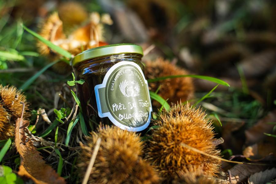 Châtaigneraie Godissard_Collobrières